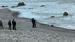 Kilimli Sahili'nde kadın cesedi bulundu