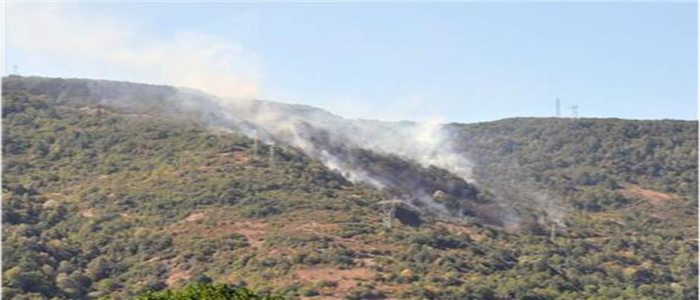 Türkali'de Orman Yangını Paniği