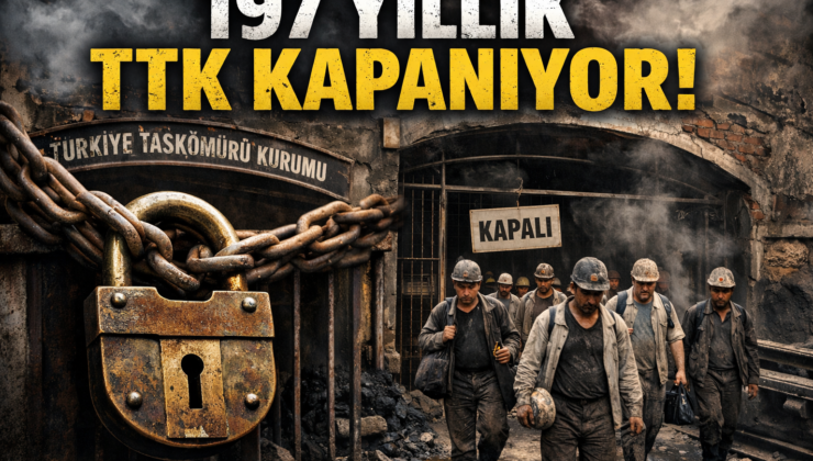197 YILLIK KÖMÜR ÇINARI DEVRİLİYOR!