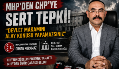 “DEVLET MAKAMI ALAY KONUSU OLAMAZ!”