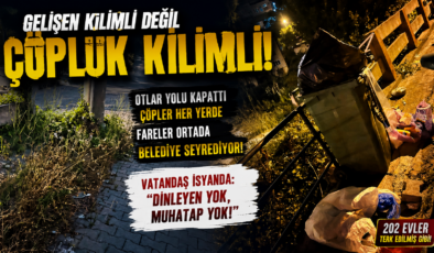GELİŞEN KİLİMLİ DEĞİL, ÇÖPLÜĞE DÖNEN 202 EVLER