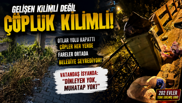 GELİŞEN KİLİMLİ DEĞİL, ÇÖPLÜĞE DÖNEN 202 EVLER