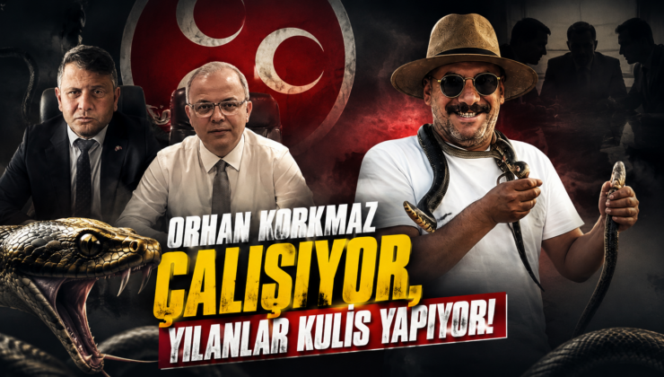ORHAN KORKMAZ ÇALIŞIYOR, YILANLAR KULİS YAPIYOR!