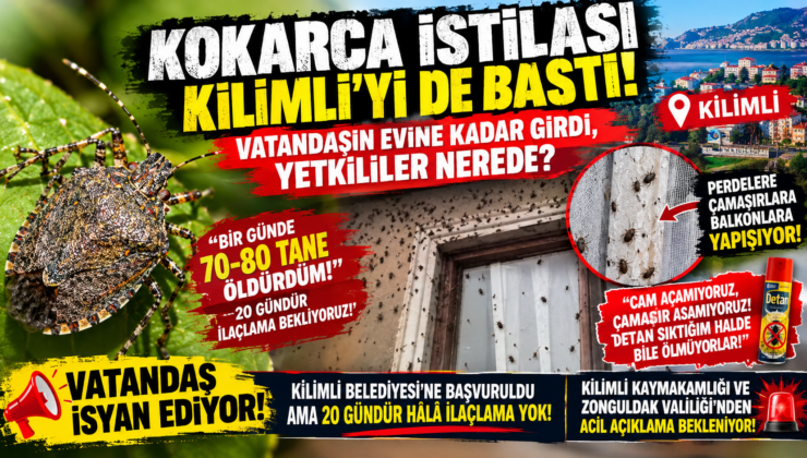 KOKARCA İSTİLASI KİLİMLİ’Yİ DE VURDU!